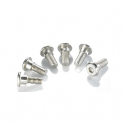 tornillo de freno trasero...