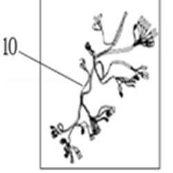 instalacion completa