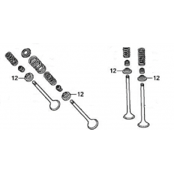 APOYO MUELLE VALVULA...